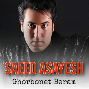 دانلود آهنگ قربونت برم دل من خونه از سعید آسایش + متن آهنگ