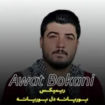 ریمیکس بوریانه دل بوریانه ازآوات بوکانی + با صدای باب اسفنجی