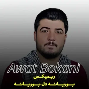 ریمیکس بوریانه دل بوریانه ازآوات بوکانی + با صدای باب اسفنجی