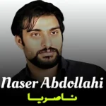 دانلود آهنگ ناصریا از ناصرعبداللهی ترند اینستاگرام