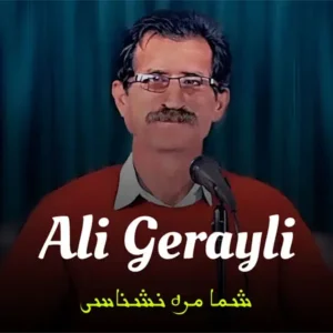 دانلود آهنگ شما مره نشناسی از علی گرایلی ( ترند اینستاگرام )