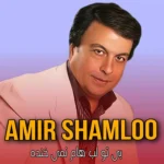 542دانلود ریمیکس ترند آوات بوکانی وعلی احمدیانی