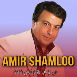 دانلود آهنگ بی تو لب هام نمی خنده از امیر شاملو+ متن آهنگ