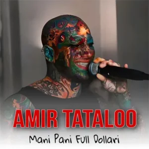 دانلود ریمیکس مانی پانی فول دلاری با صدای امیر تتلو