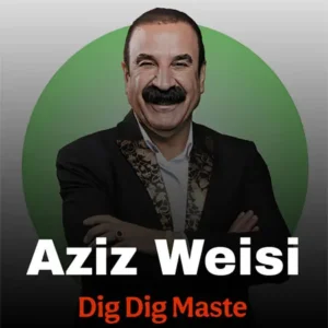 دانلود آهنگ دیگ دیگ مسته ازعزیز ویسی
