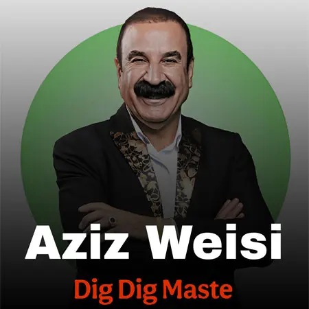 دانلود آهنگ دیگ دیگ مسته ازعزیز ویسی