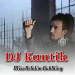 دانلود موزیک Miss Belalim Bubbling ازDJ Kantik