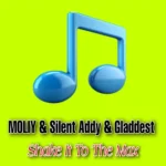 دانلود موزیک Shake It To The Max ازMoliy & Silent Addy