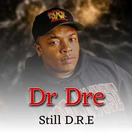 دانلود آهنگ زیبای Dr Dre به نام Still D.R.E