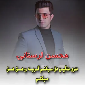 دانلود آهنگ نری نگین دق میکنم گریه رو هق هق میکنم از محسن لرستانی