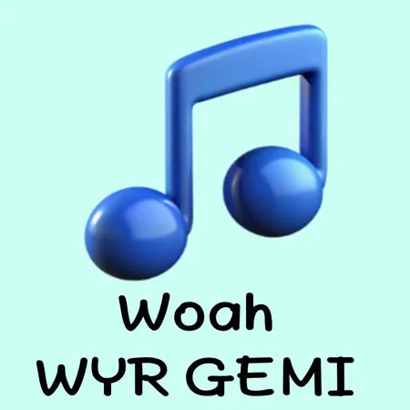 دانلود آهنگ Woah از WYR GEMI