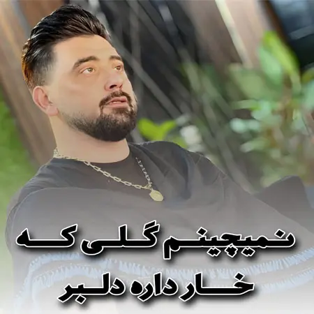 آهنگ نمیچینم گلی که خار داره دلبراز سعید کریمی