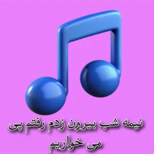 ریمیکس نیمه شب بیرون زدم رفتم پی می خواریم