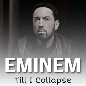 دانلود آهنگ Till I Collapseاز Eminem