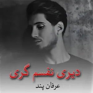 دانلود آهنگ دیری نفسم گری و شون تو دلم مری