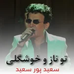 دانلود آهنگ تو مثل گلی ناز و خوشگلی از سعیدپورسعید