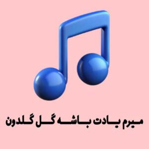 دانلود ریمیکس میرم یادت باشه گل گلدون