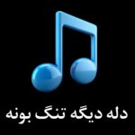 ریمیکس دله دیگه تنگ بونه