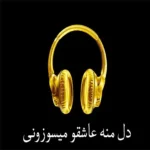 دانلود ریمیکس دل منه عاشقو میسوزونی