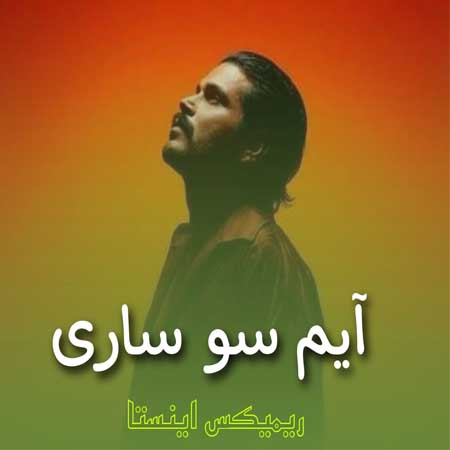 دانلود آهنگ آیم سو ساری ازهامکس