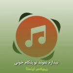 آهنگ بیدارم نموند تو پلکام جونی
