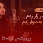 ریمیکس انقدر زار زدم سرمو به دیوار زدم